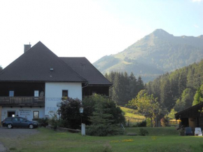 Pension Pein FEWO Chalet Vordernberg